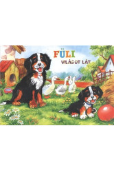 Füli világot lát /Leporelló