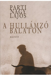 A hullámzó Balaton (e-könyv)