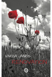 Renovation (e-könyv)
