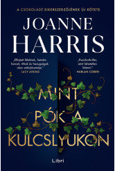 Mint pók a kulcslyukon