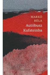 Autóbusz Kufsteinba