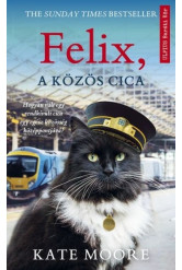 Felix, a közös cica