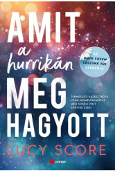 Amit a hurrikán meghagyott