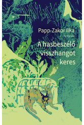 A hasbeszélő visszhangot keres