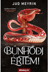 Bűnhődj értem!