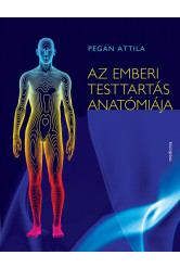 Az emberi testtartás anatómiája