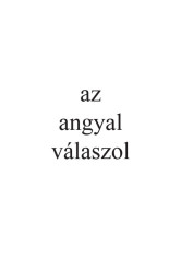 az angyal válaszol (új kiadás)