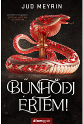 Bűnhődj értem (e-könyv)
