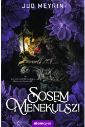 Sosem menekülsz! (e-könyv)