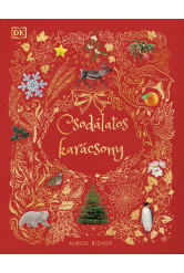 Csodálatos karácsony