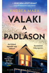 Valaki a padláson (e-könyv)