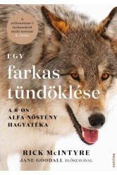 Egy farkas tündöklése - A 6-os alfa-nőstény hagyatéka
