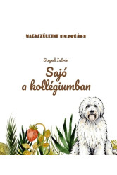 Sajó a kollégiumban - Nagyszüleink mesetára