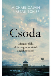 Csoda (e-könyv)