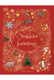 Csodálatos karácsony