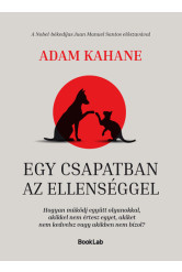 Egy csapatban az ellenséggel -  Hogyan működj együtt olyanokkal, akikkel nem értesz egyet, akiket nem kedvelsz vagy akikben nem